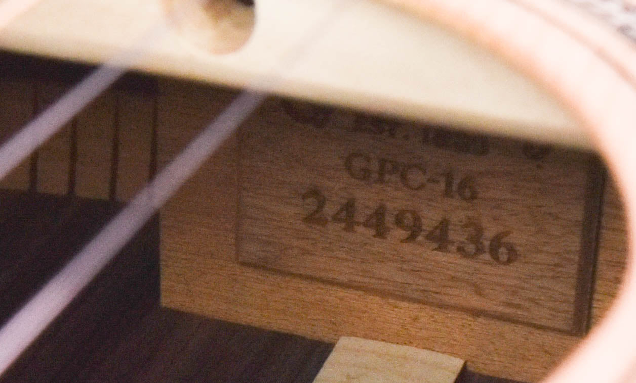 Martin GPC16E Rosewood