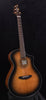 Breedlove Performer Concert Bourbon CE