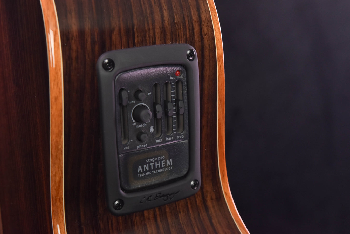 Furch Master's Choice Red GC-SR with LR Baggs SPA Pickup