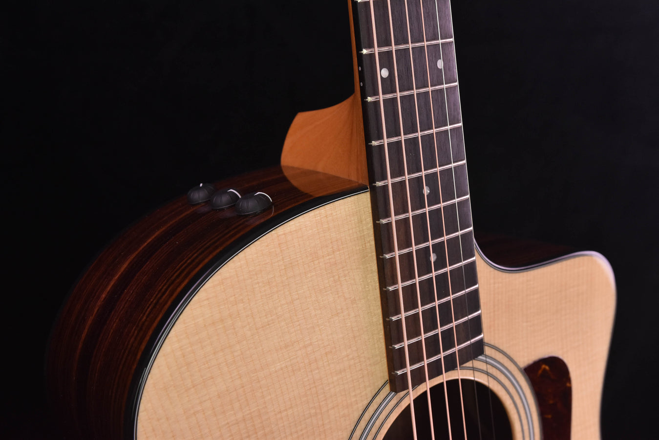 Taylor 214CE Plus with new Aero Case!!