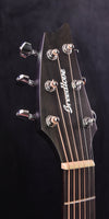 Breedlove Rainforest S Concert Black Gold CE All African Mahogany