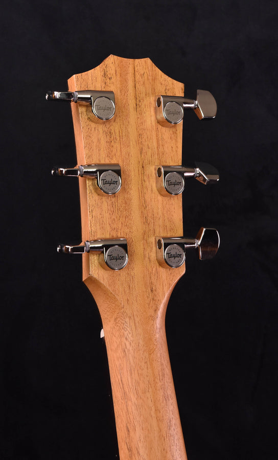 Taylor 214CE Plus with new Aero Case!!