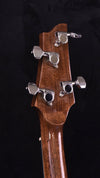 Nechville Athena Model lightweight five string banjo