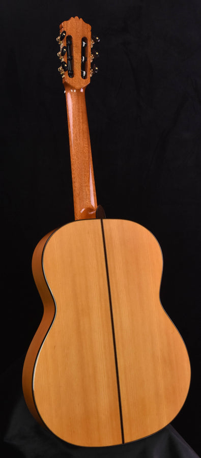 Cordoba F10 Flamenco Guitar with Rigid Polyfoam Case