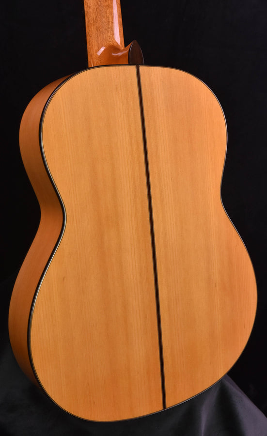 Cordoba F10 Flamenco Guitar with Rigid Polyfoam Case
