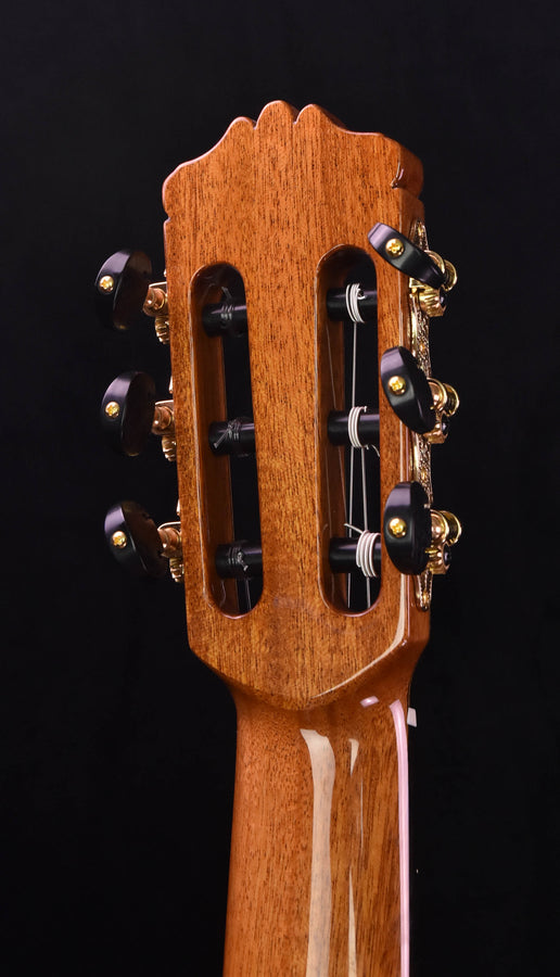 Cordoba F10 Flamenco Guitar with Rigid Polyfoam Case