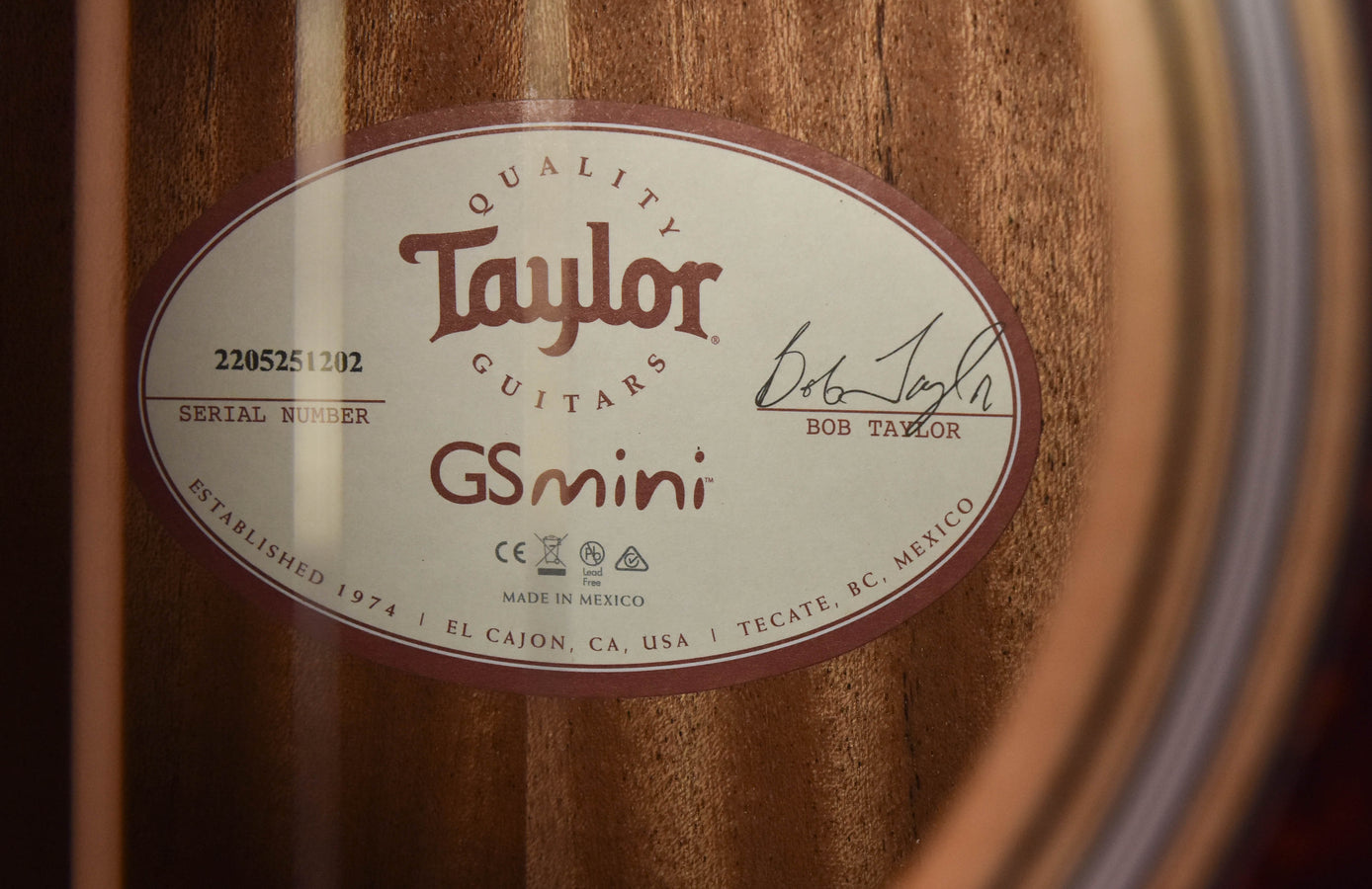 Taylor GS Mini-E Rosewood