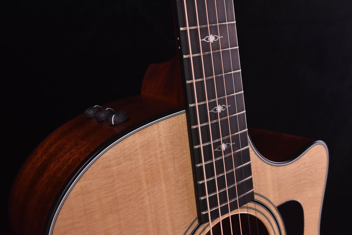 Taylor 314CE V Class