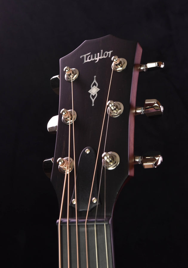 Taylor 314CE V Class