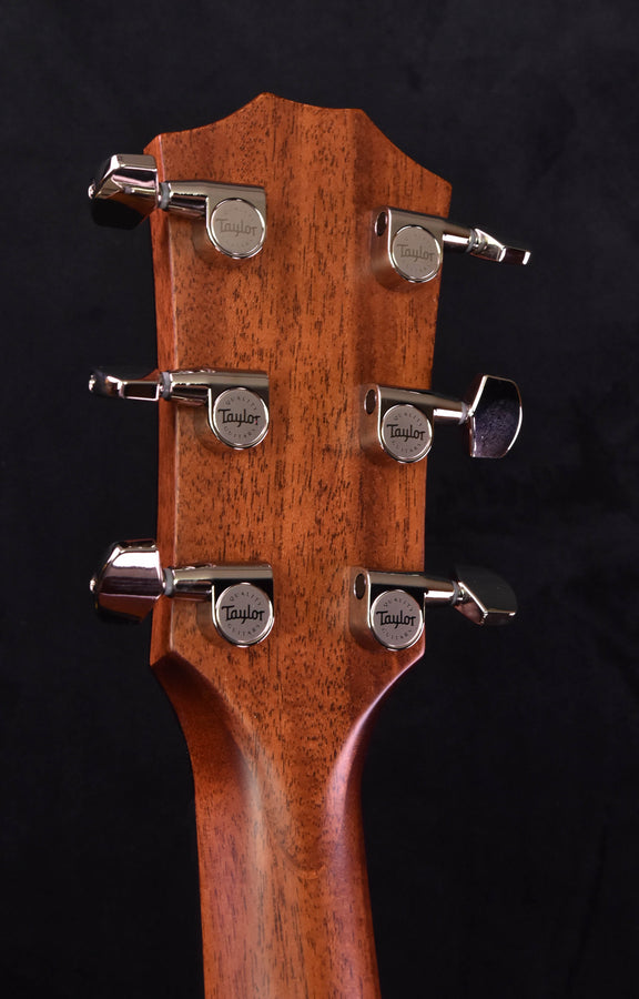 Taylor 314CE V Class