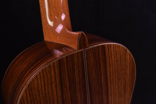 cordoba master series "torres" classical guitar