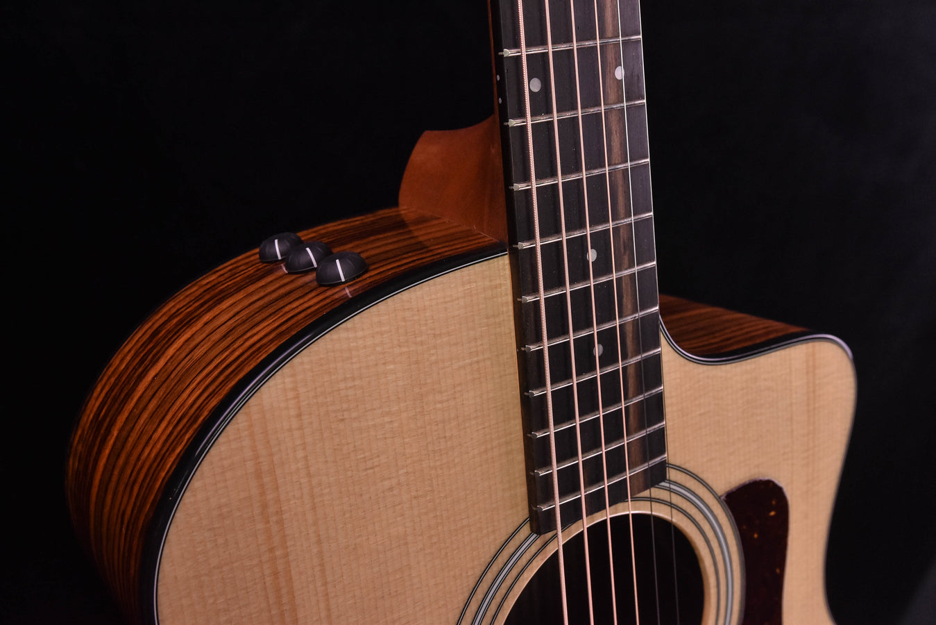 Taylor 214CE Plus with new Aero Case!!