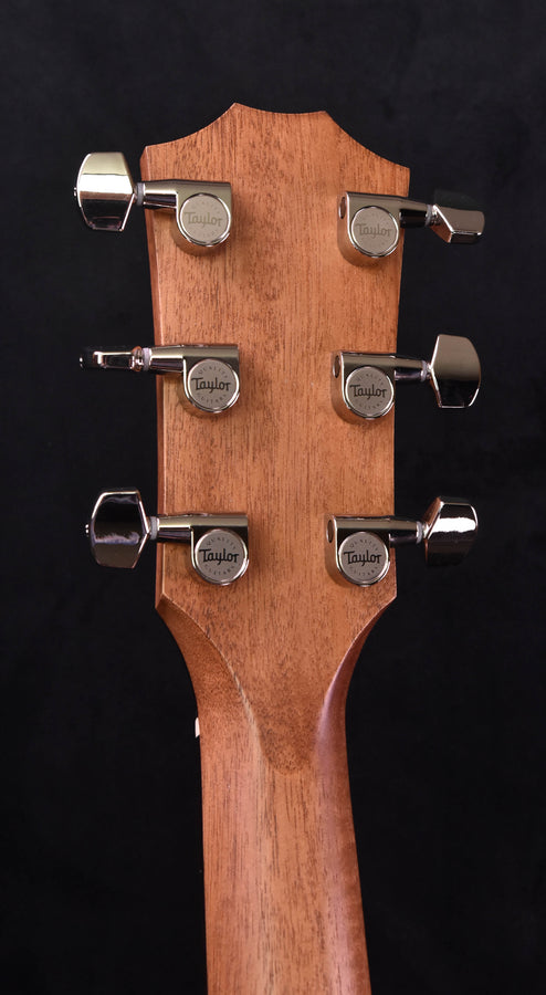 Taylor 214CE Plus with new Aero Case!!