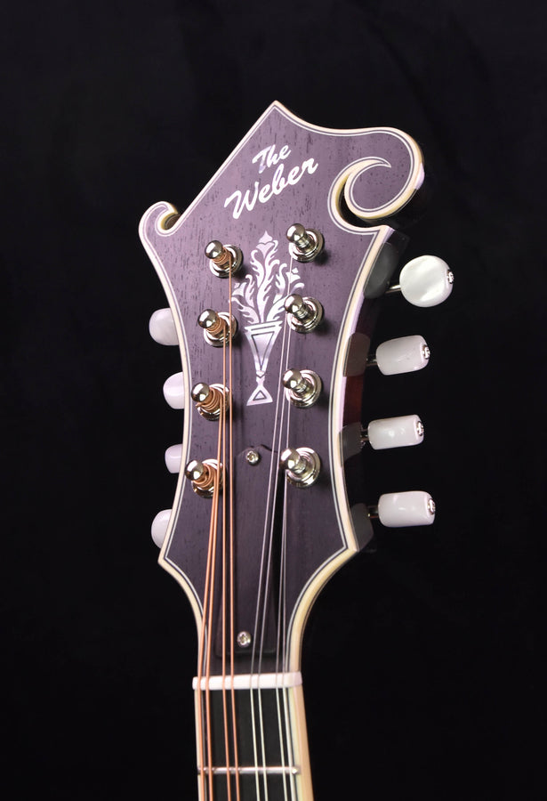 Weber Yellowstone F Fern Burst