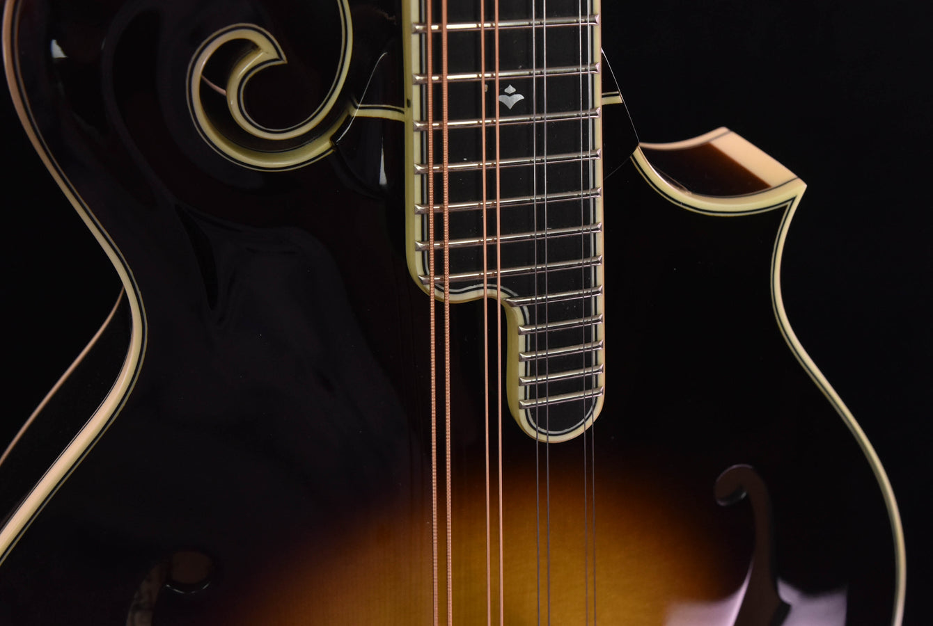 Weber Yellowstone F Fern Burst