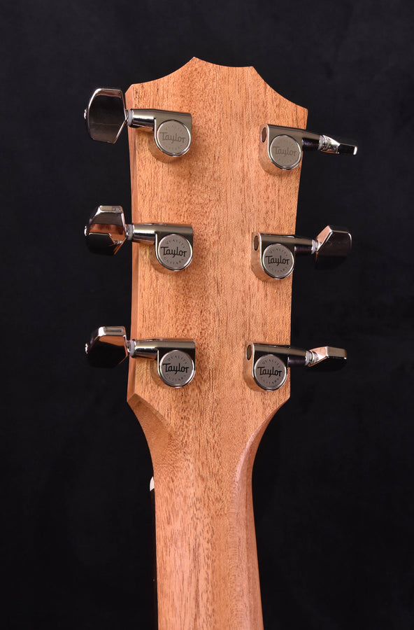 Taylor 214CE Plus with new Aero Case!!