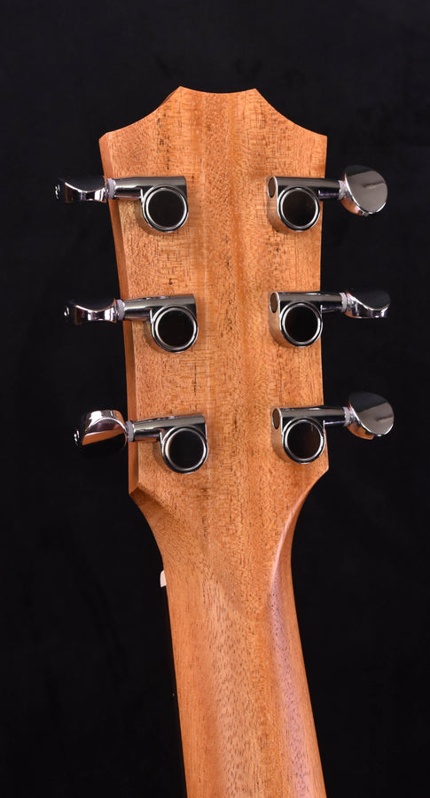 Taylor GS Mini-E Rosewood