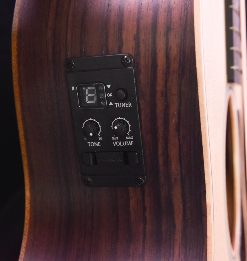 Taylor GS Mini-E Rosewood