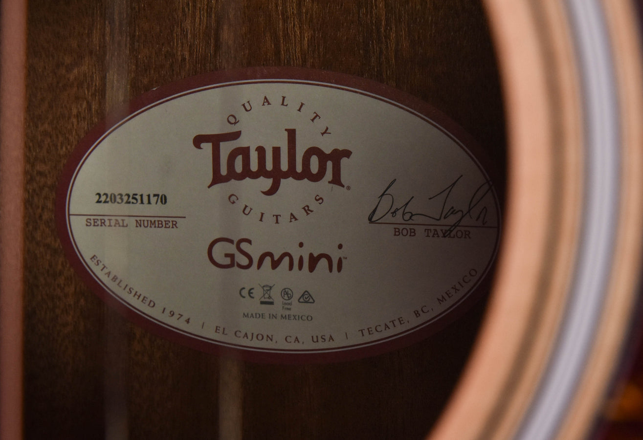 Taylor GS Mini-E Rosewood