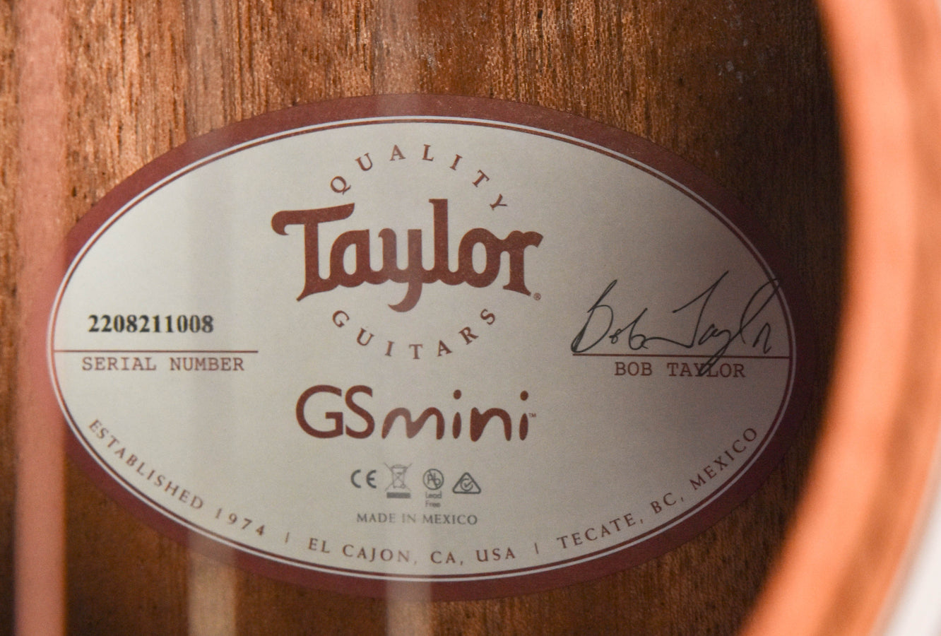 Taylor GS Mini Mahogany