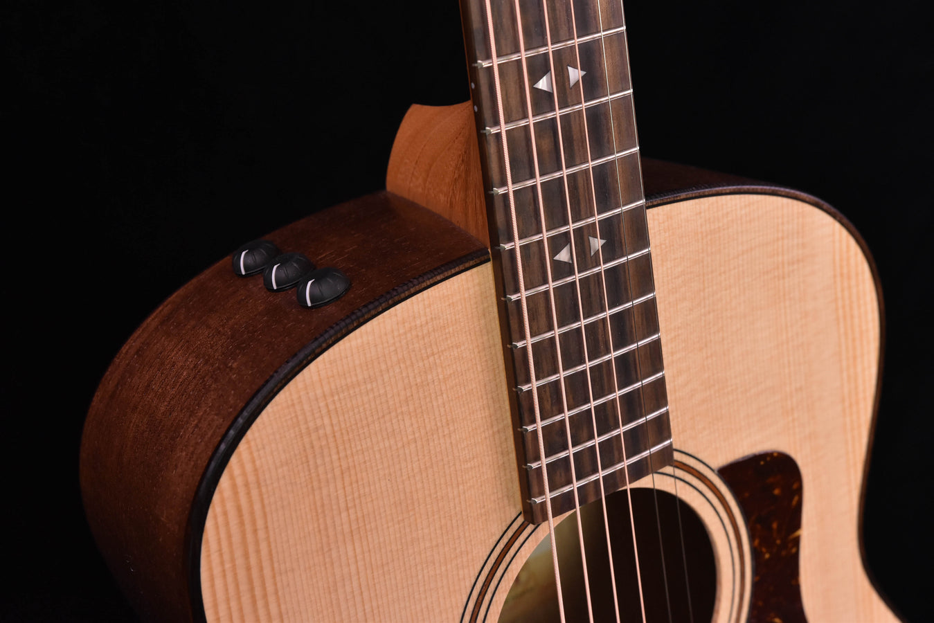 Taylor GTe Urban Ash