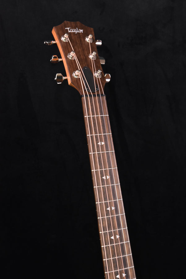 Taylor GTe Urban Ash