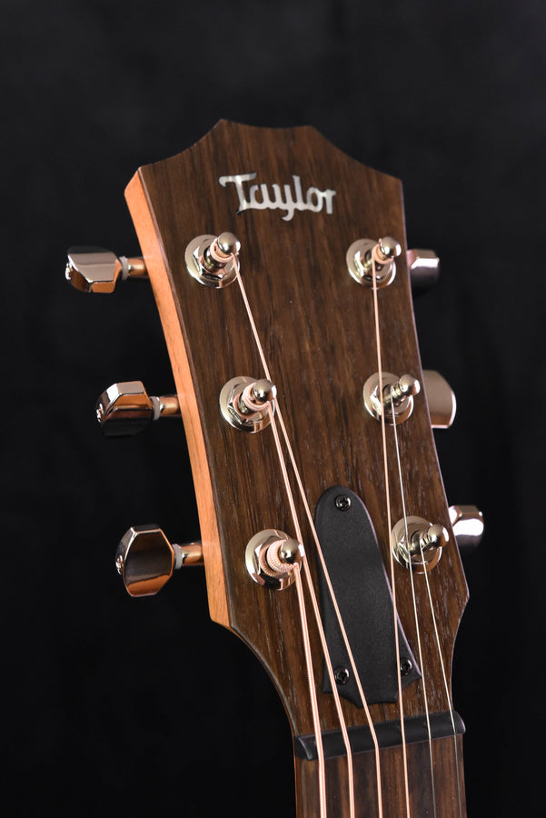 Taylor GTe Urban Ash