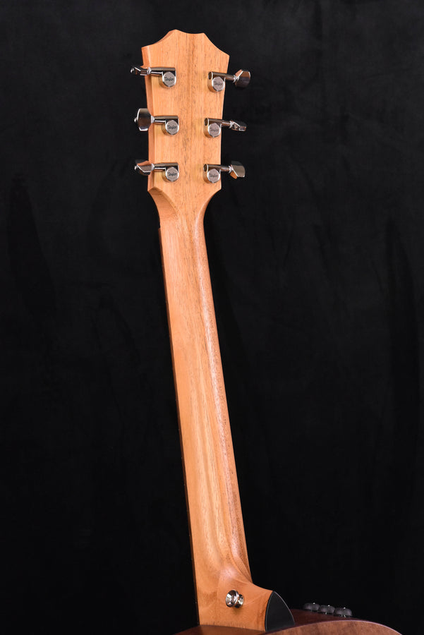 Taylor GTe Urban Ash