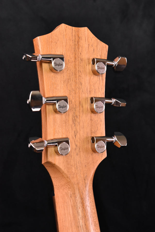 Taylor GTe Urban Ash