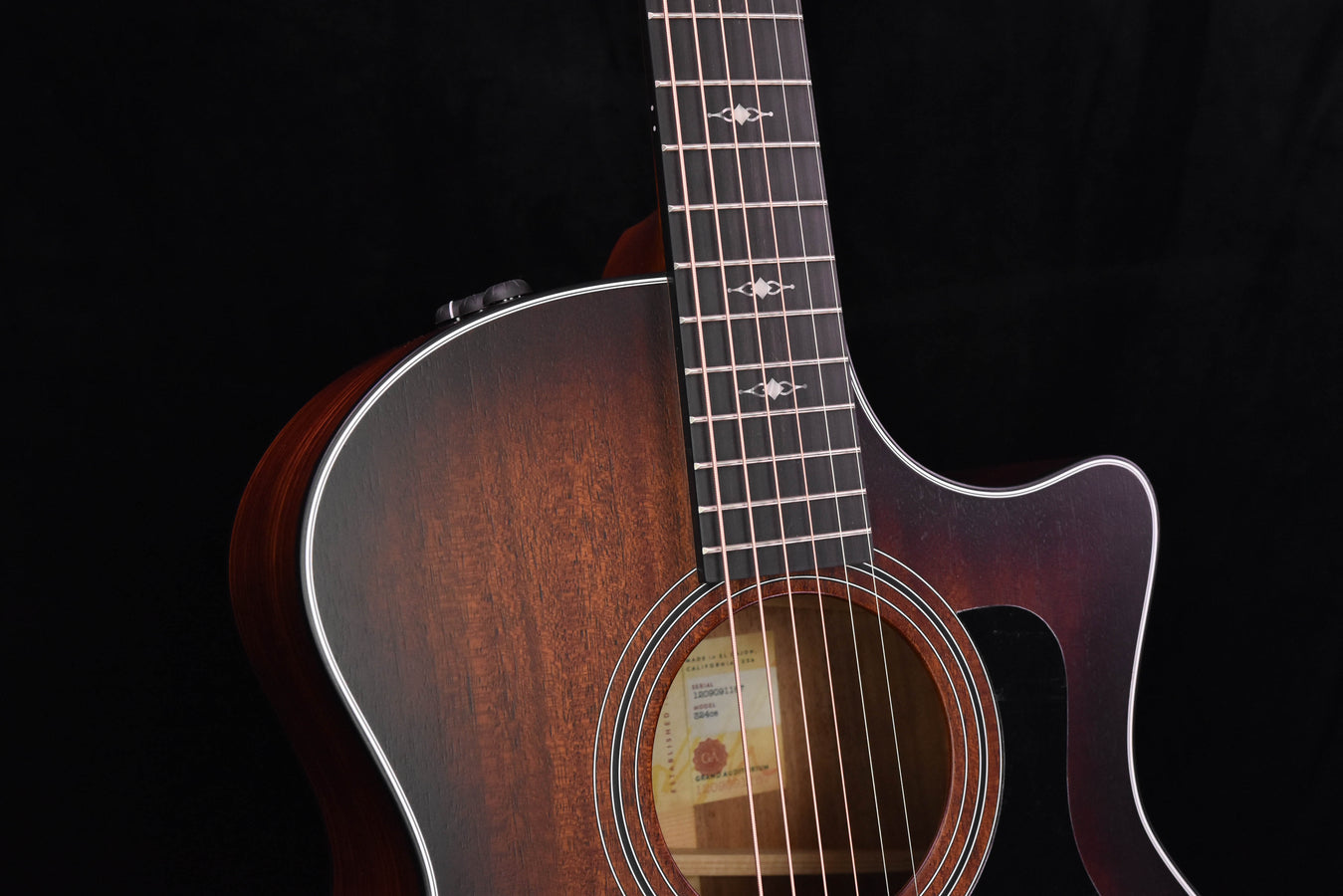 Taylor 324CE V Class