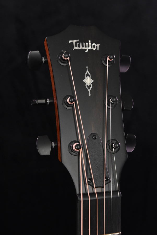 Taylor 324CE V Class