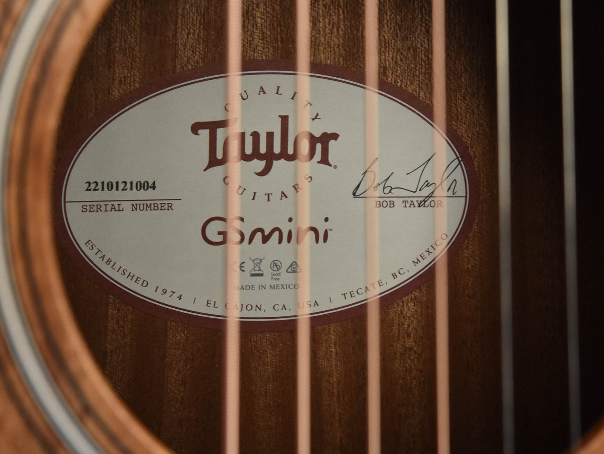 Taylor GS Mini Mahogany