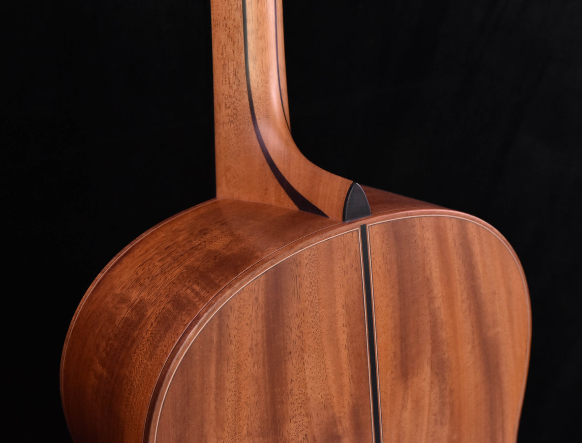 F-50 guitar upper bout with wood grain and soundboard edge binding