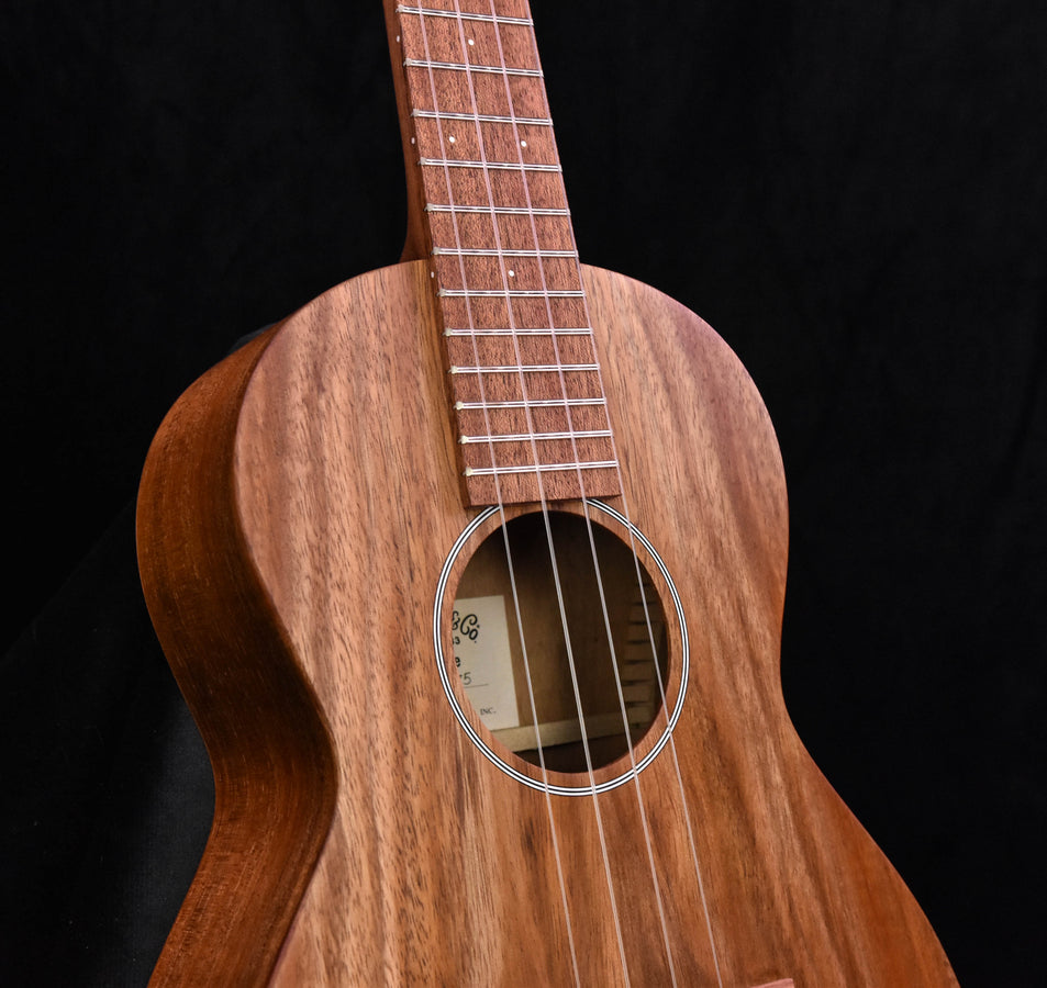 Martin T1K Ukulele