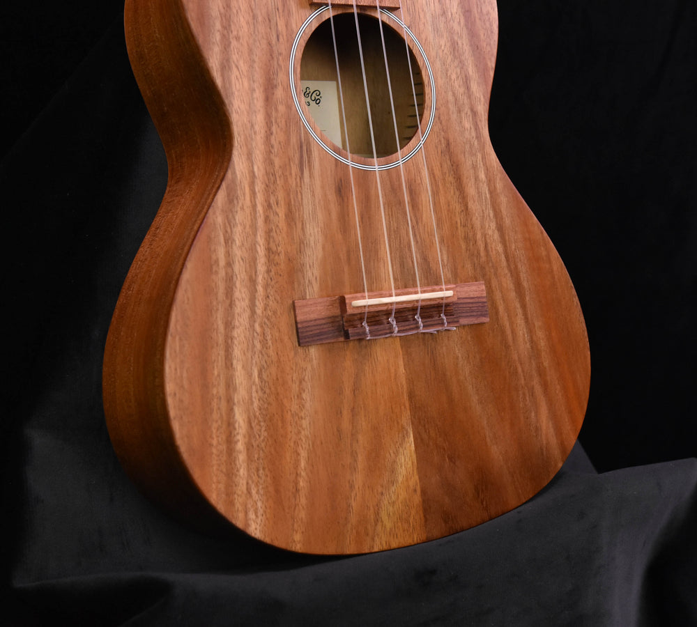 Martin T1K Ukulele