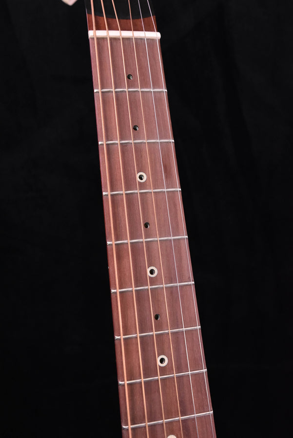 DE-11 fretboard close-up with dot inlays and metal strings