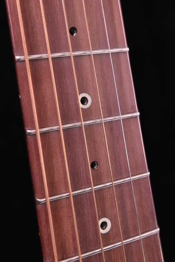 DE-11 fretboard close-up with dot position markers and frets