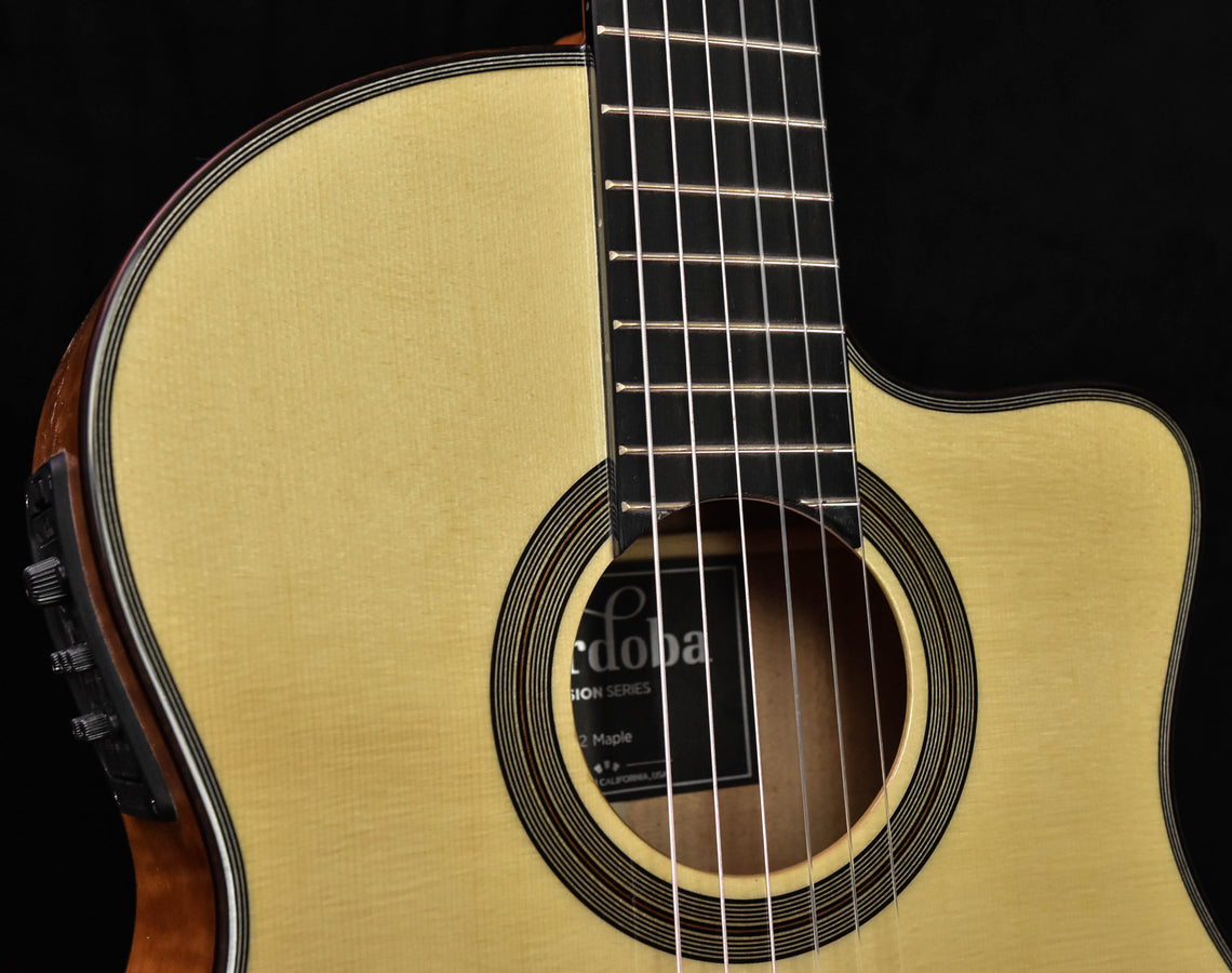 Cordoba Fusion 12 cutaway rosette close-up with neck and fretboard