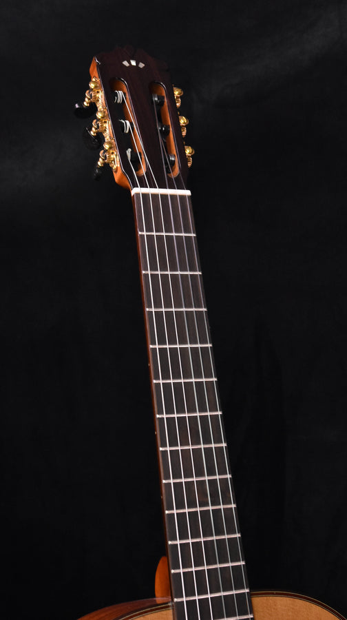 Cordoba C9 Classical Guitar Cedar Top with Polyfoam Case