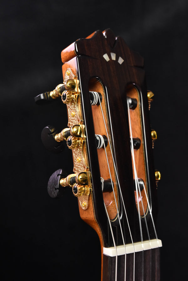 Cordoba C9 Classical Guitar Cedar Top with Polyfoam Case