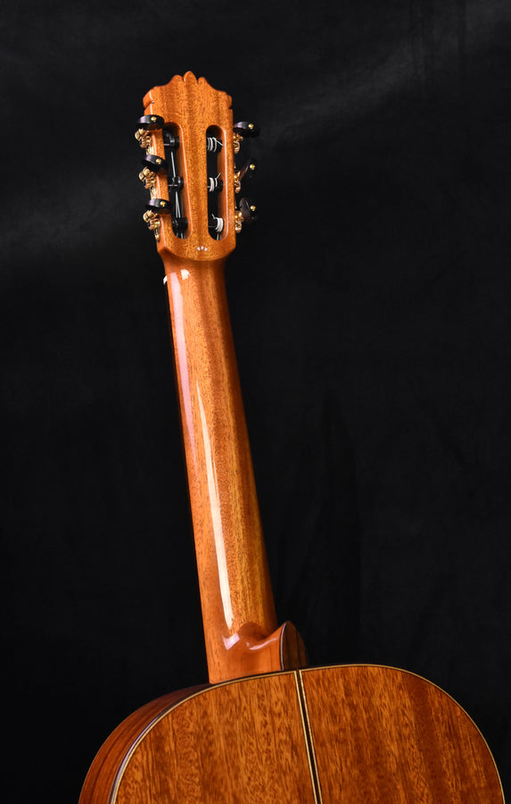 Cordoba C9 Classical Guitar Cedar Top with Polyfoam Case