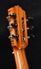 Cordoba C9 Classical Guitar Cedar Top with Polyfoam Case