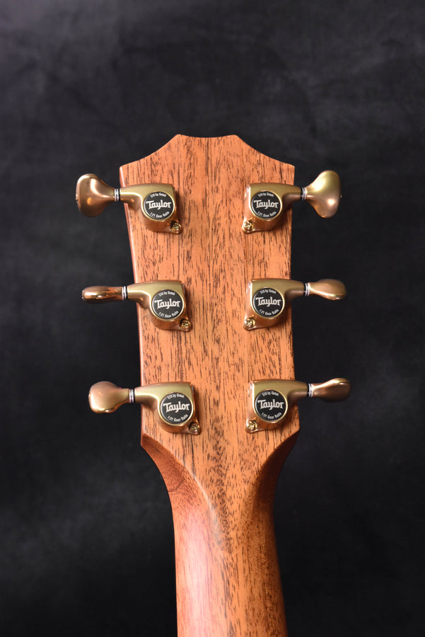 Taylor 816CE Builder's Edition