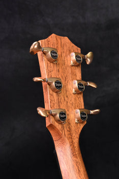 taylor 816ce builder's edition