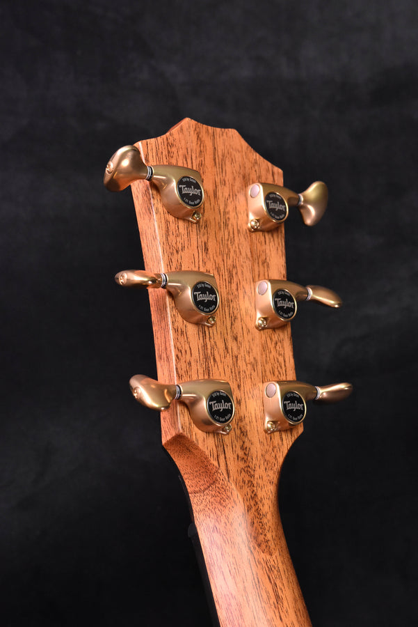 Taylor 816CE Builder's Edition