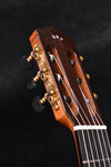 Cordoba C10 Cedar Top Classical Guitar