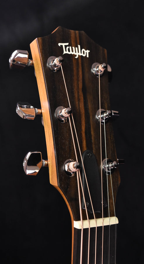Guitar headstock with Taylor logo and six silver tuning pegs on dark wood