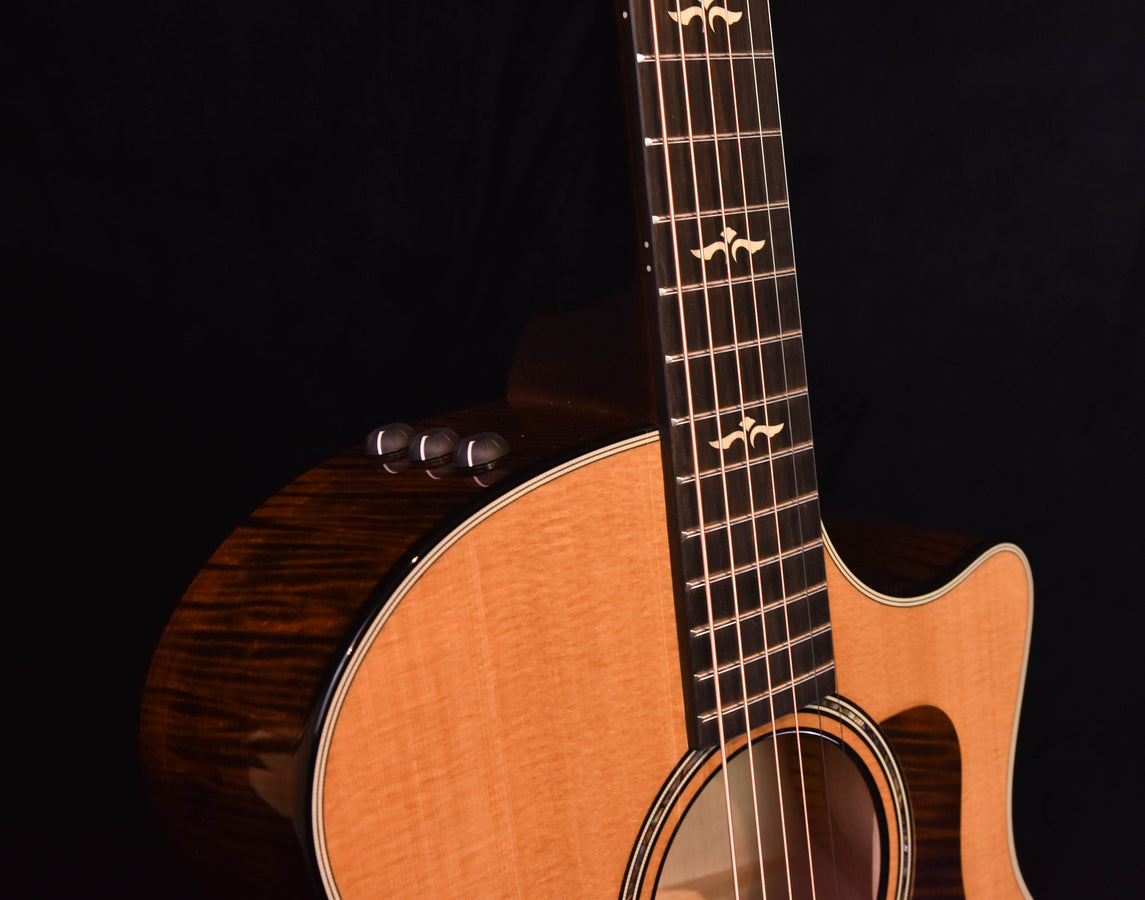 Acoustic guitar upper bout and neck with headstock and tuning pegs