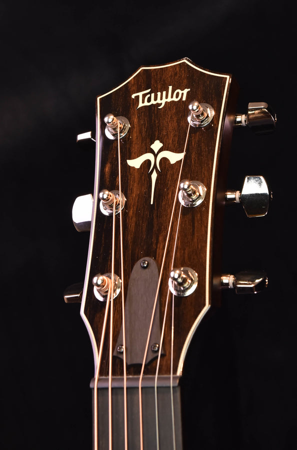 Taylor acoustic guitar headstock with logo, nut, and chrome tuning machines