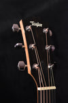 Taylor 214CE-K SB  Sunburst- Full body Edge Burst